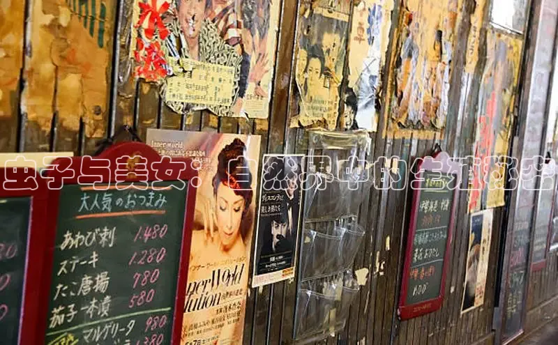 51漫画网官网免费