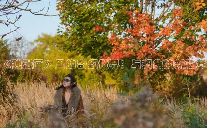 五一动画网页版