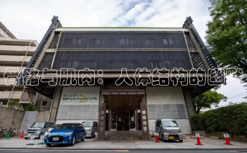 51动漫漫画免费登录入口